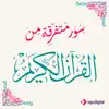 Various Artists - سور متفرقة من القرآن الكريم